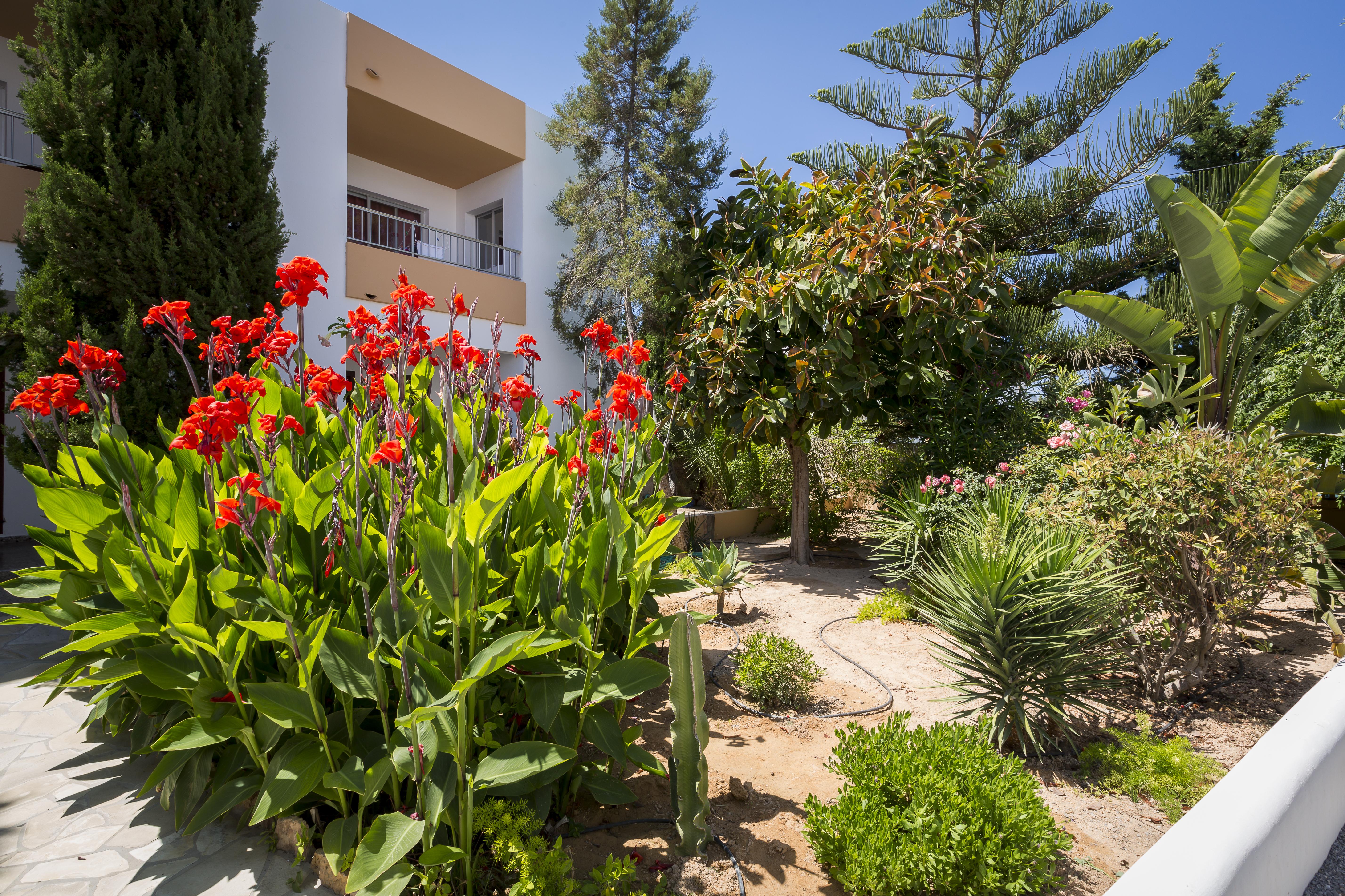 Apartamentos Zodiac Sant Antoni de Portmany Extérieur photo